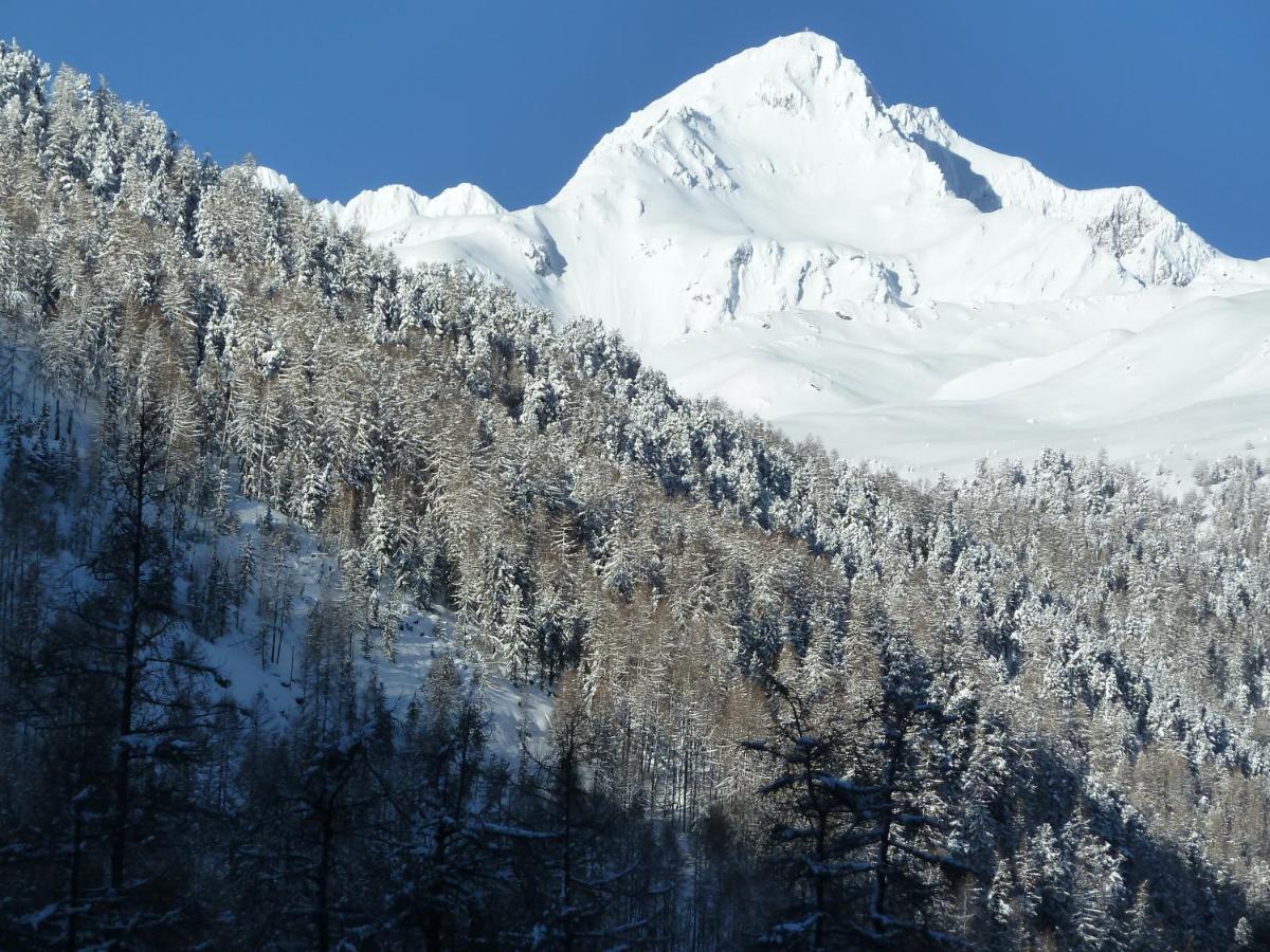 Homestay Dorfblick &