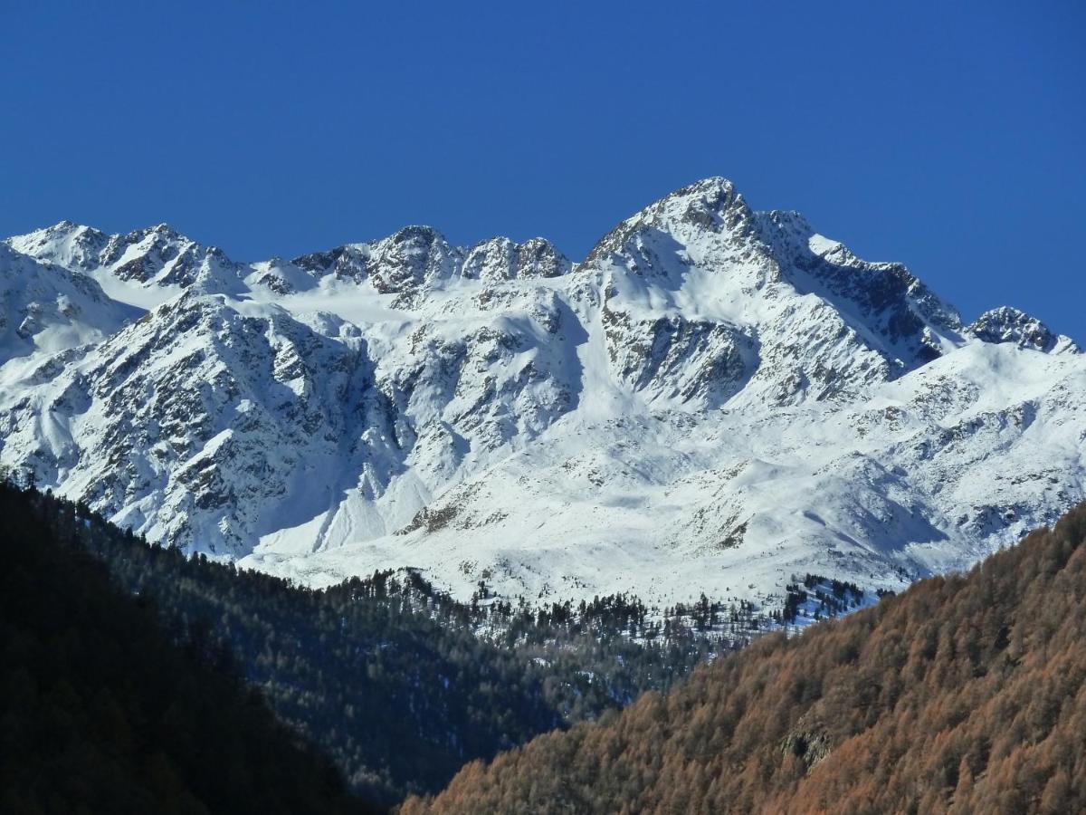 Homestay Dorfblick &