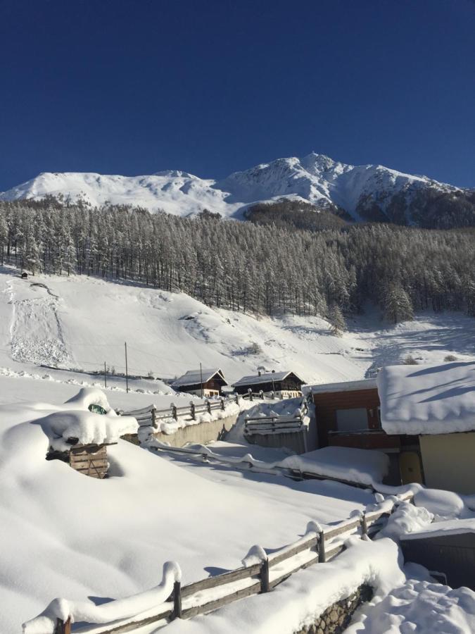 Dorfblick & Homestay Senales